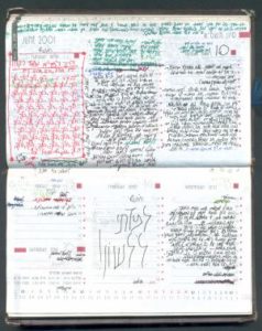 Typical_Page_from_Malki's_Diary