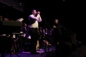 Singer at concert