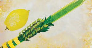 lulav and etrog